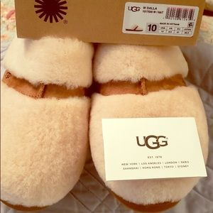 Ugg Dalla Slippers